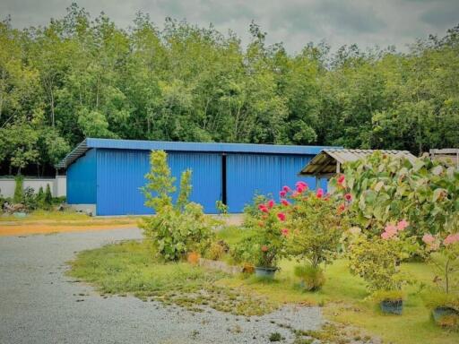 Outdoor view with blue buildings and plants