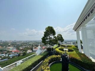 Rooftop garden with city view