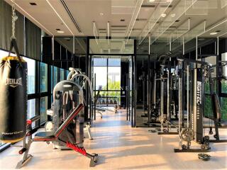 Modern gym with exercise equipment