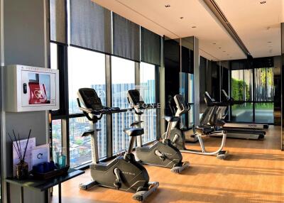 Well-equipped gym with exercise machines and a panoramic window view