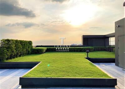 Sunset on rooftop garden with manicured lawn