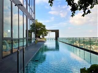 Rooftop pool with city view