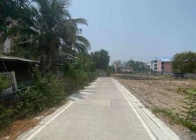 Pathway with trees and buildings in the distance