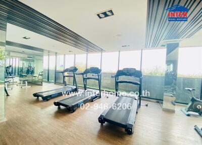 Modern gym with treadmills and large mirrors