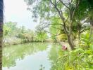 Green lush outdoor space with a pond and trees