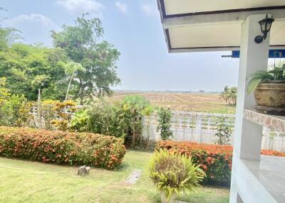 Lush landscaped garden view from the porch