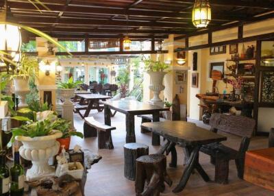 Cozy dining area with wooden furniture and indoor plants