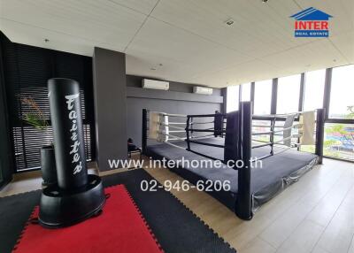 Recreation room with boxing ring