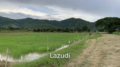 Land for Sale With Stunning Mountain View in Ban Du