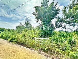 Land for sale in Bang Saray PP10591