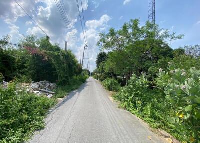 Quiet street with greenery under a bright sky