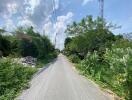 Quiet street with greenery under a bright sky