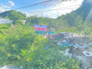 Vacant land with vegetation and waste pile