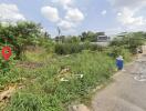 Vacant land near a road with some bushes and trees.