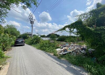 Narrow road with a car, overgrown vegetation, power lines, and a pile of debris
