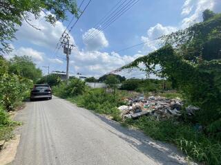 Narrow road with a car, overgrown vegetation, power lines, and a pile of debris