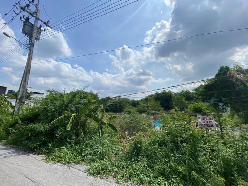 Vacant land with greenery and power lines