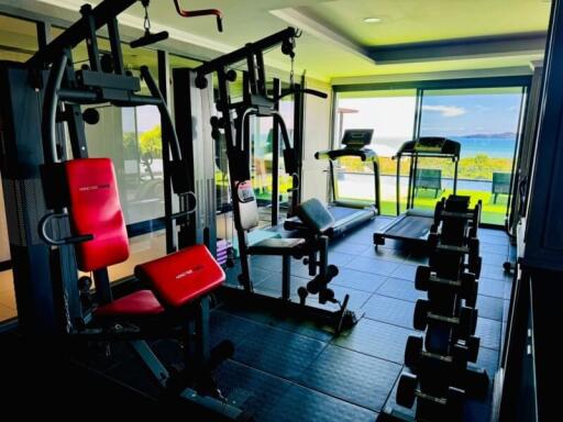 Modern home gym with equipment and a scenic view