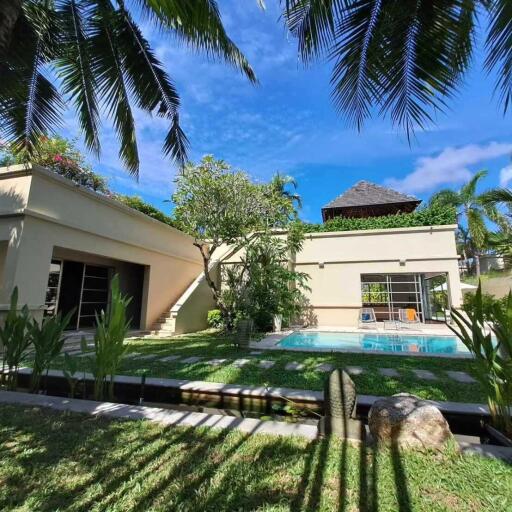 Exterior view of a house with a lawn, swimming pool, and lush vegetation