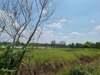 A scenic view of an open field with a tree and a pond in the background under a clear blue sky.