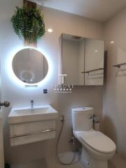 Modern bathroom with illuminated mirror and hanging plant