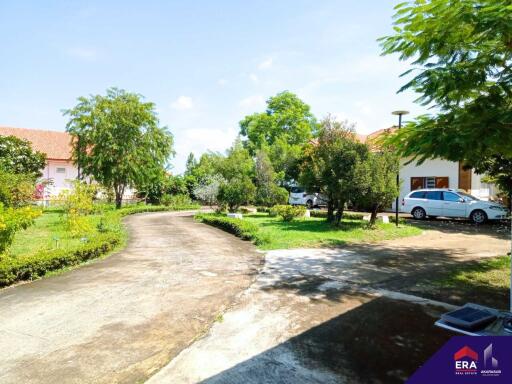 Wide view of a yard with greenery and driveway