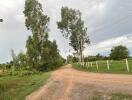 Dirt road pathway with tall trees and fence