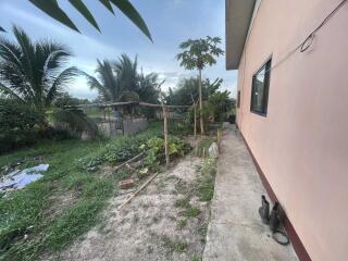 Side yard with plants and trees