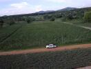 Aerial view of a countryside with a truck on a dirt road