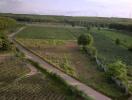 Aerial view of a vast plot of land with greenery