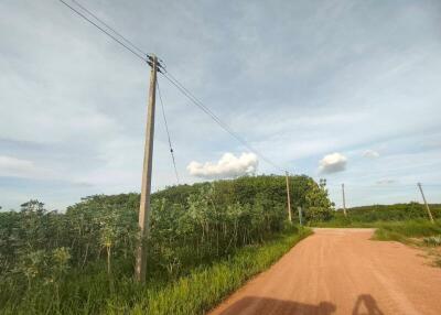 Rural area with dirt road and power lines