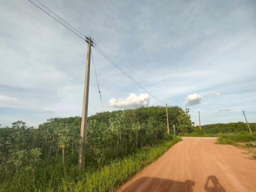 Rural area with dirt road and power lines