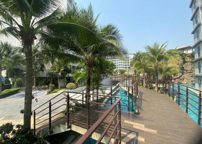 Resort-style outdoor area with palm trees and pools