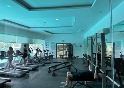 Modern Fitness Center with Equipment for Cardio and Strength Training