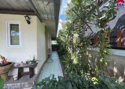 Narrow walkway next to the house with greenery