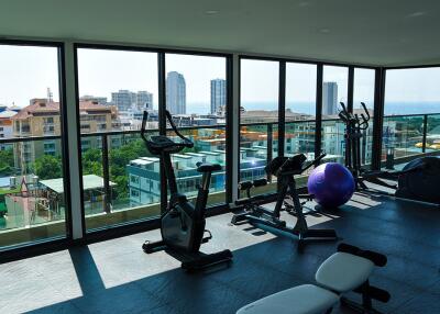 Modern gym with large windows and city view