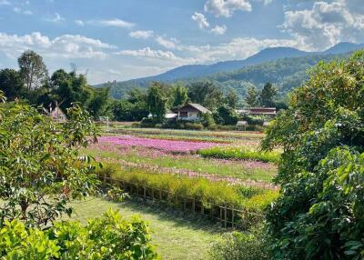 A family house with 4 bed for rent or sale in Mae Rim, Chiang Mai