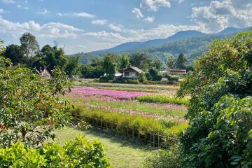 A family house with 4 bed for rent in Mae Rim, Chiang Mai