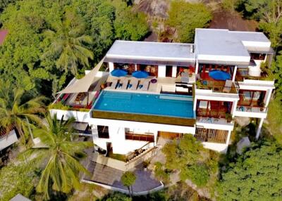 Aerial view of a luxurious mansion with a large swimming pool