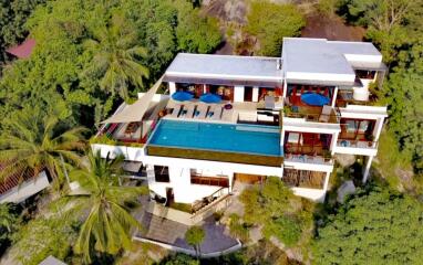 Aerial view of a luxurious mansion with a large swimming pool