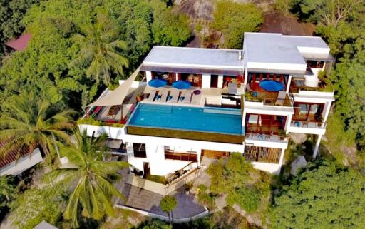 Aerial view of a luxurious mansion with a large swimming pool