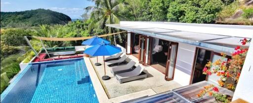 Modern outdoor area with pool and lounge chairs