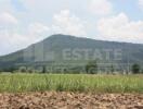 Scenic view of a hill with fields in the foreground