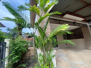 Exterior view of building with driveway and potted plant