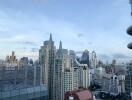 City skyline view with high-rise buildings