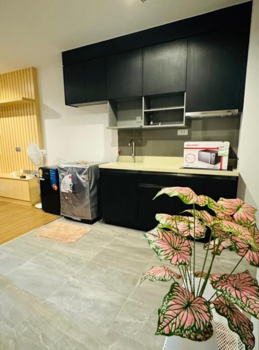 Modern apartment kitchen with counter and appliances