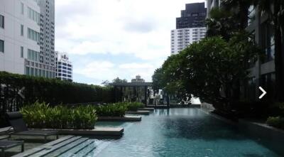 Luxurious outdoor pool area with greenery and city view