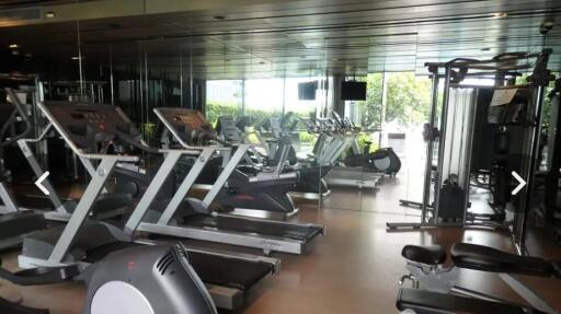 Modern gym with various exercise equipment