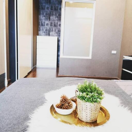 Modern bedroom with potted plants on a bed tray