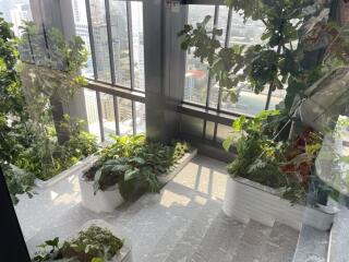 Indoor garden area with large windows and city view